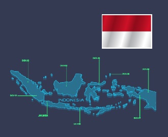 국세청의 K-전자세정, 인도네시아에 진출하다! 이미지