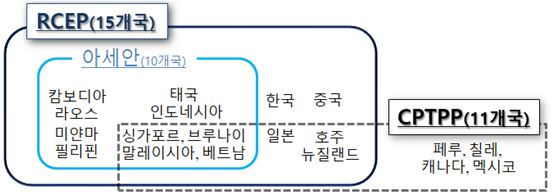 (아세안 10개국. 캄보디아, 라오스, 미얀마, 필리핀, 태국, 인도네시아, 싱가포르, 브루나이, 말레이시아, 베트남) (RCEP 15개국. 아세안 10개국, 한국, 중국, 일본, 호주, 뉴질랜드) (CPTPP 11개국. 페루, 칠레, 캐니다, 멕시코, 싱가포르, 브루나이, 말레이시아, 베트남, 일본, 호주, 뉴질랜드)