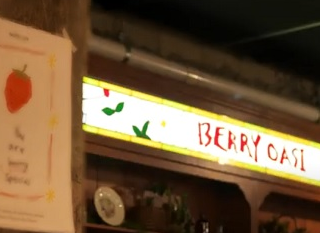 BERRY OASI