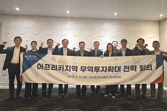 아프리카, 잠재시장을 넘어 주력시장으로