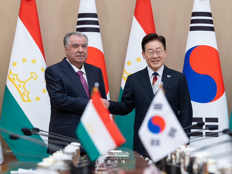 악수하는 양국정상